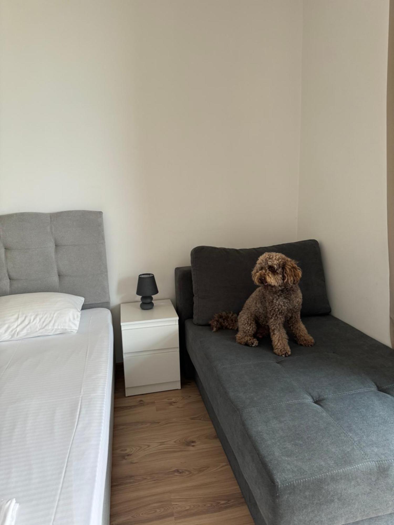 Апартаменти За Гости "Екатерина" Guest Apartments "Ekaterina" Burgas by Eksteriør bilde